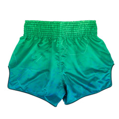BS1953 Fairtex Quantum Muaythai Shorts