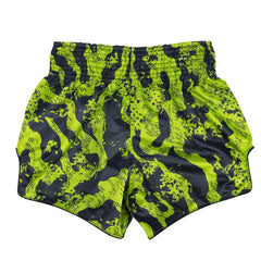 BS1955 Fairtex Raptor Muaythai Shorts